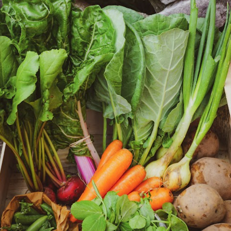 The Cae Tan Veg Box Small