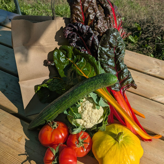 Seasonal veg bag
