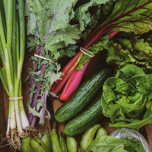 The Cae Tan Veg Box Large